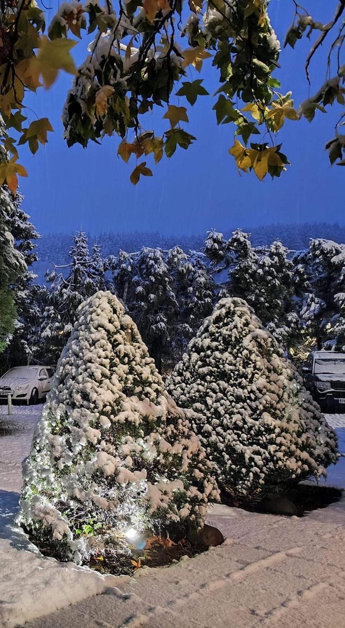 Park Amfora -free Parking
