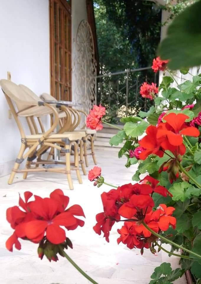 Park Amfora -free Parking 3*