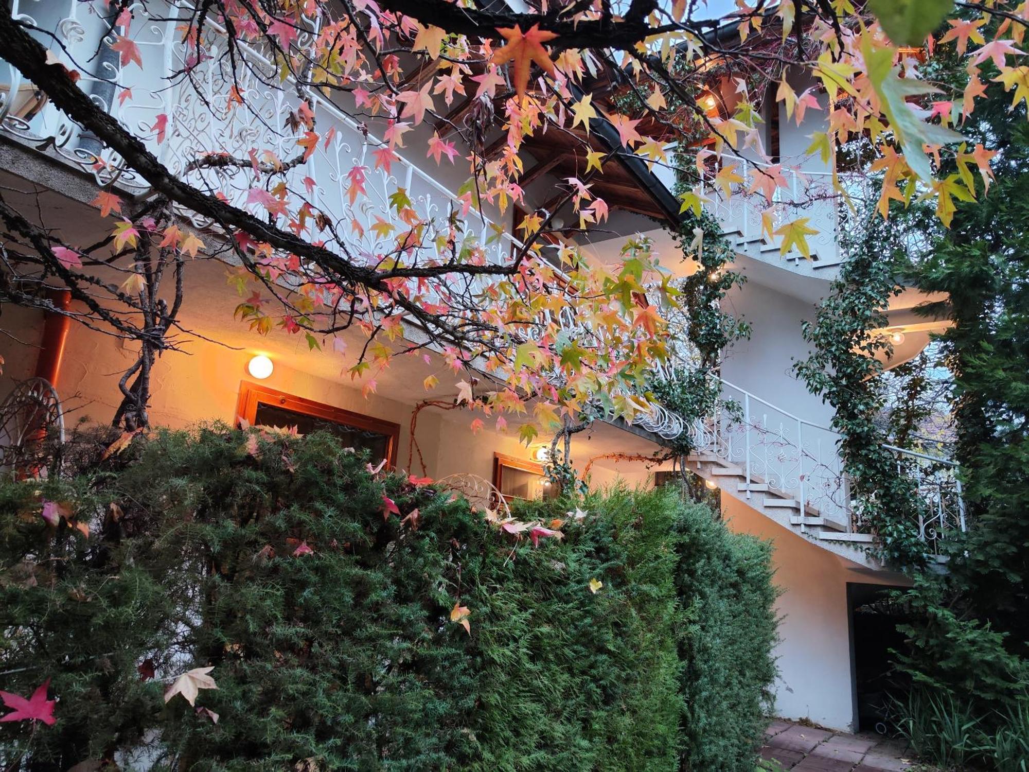 Park Amfora -free Parking Hotel 3*