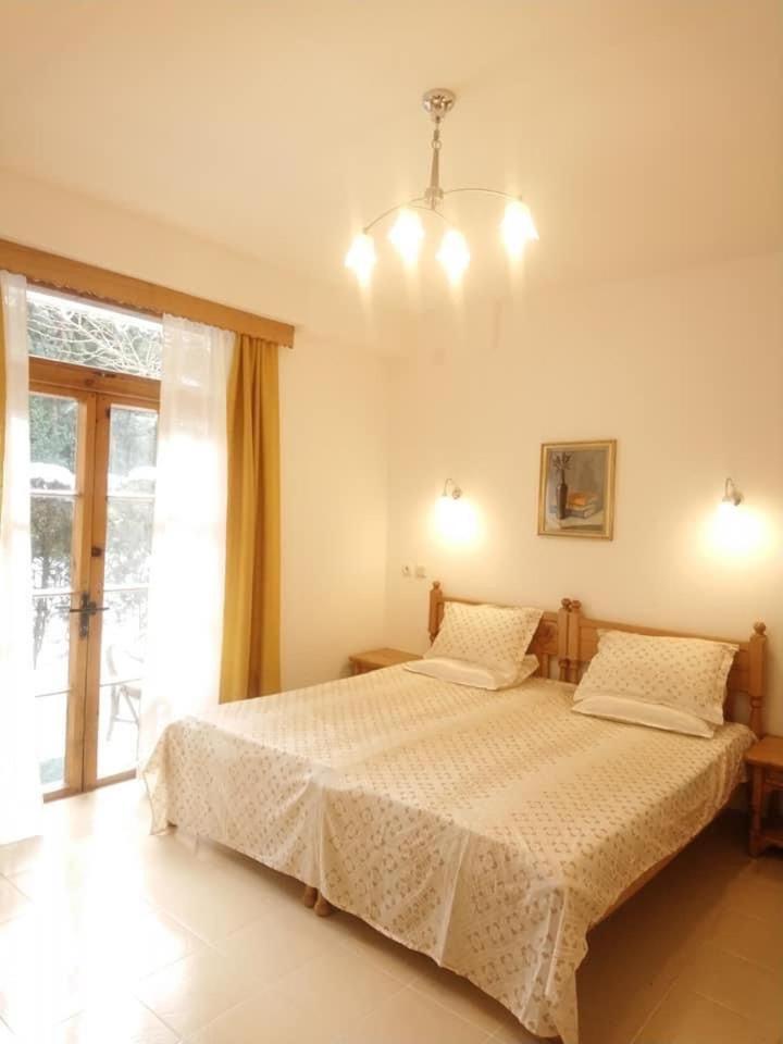 Hotel Park Amfora -free Parking 3*